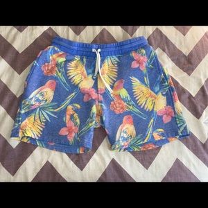 Chubbies Sweatpant Shorts